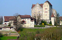 schloss-wildegg